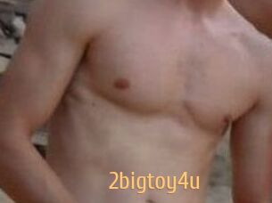 2bigtoy4u