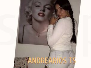ANDREARIOS_TS
