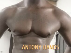 ANTONY_HANDS
