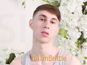 AdamBrittle