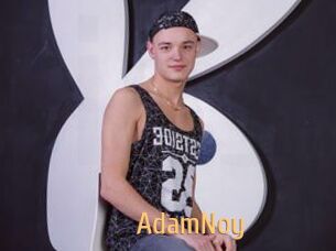 AdamNoy