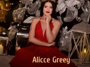 Alicce_Greey
