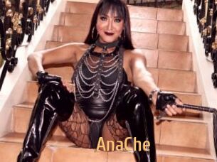 AnaChe
