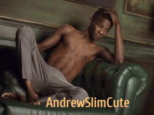 AndrewSlimCute