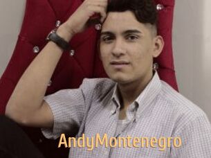 AndyMontenegro