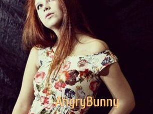 AngryBunny