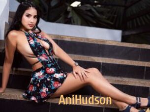 AniHudson