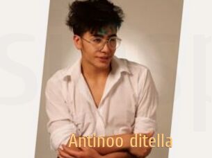 Antinoo_ditella