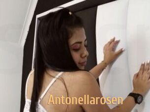 Antonellarosen