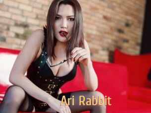 Ari_Rabbit