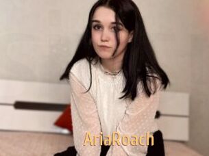 AriaRoach