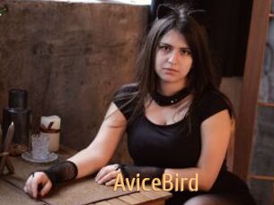 AviceBird