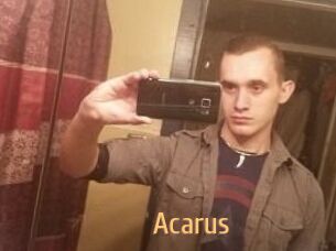 Acarus