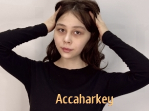 Accaharkey