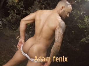 Adam_fenix