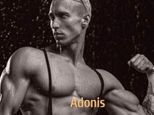 Adonis_