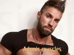 Adonis_muscles