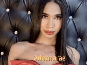 Adrianarae