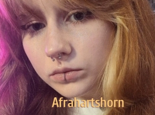Afrahartshorn
