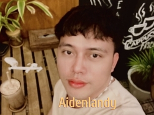 Aidenlandy