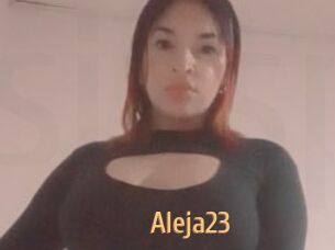 Aleja23