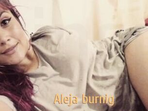 Aleja_burnig