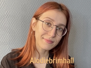 Alodiebrimhall