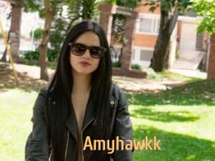 Amyhawkk