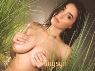 amysyn Single Spass