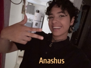 Anashus
