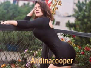 Andinacooper