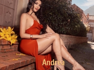 andrea Single Spass