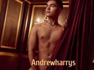 andrewharrys Single Spass