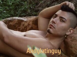 Andylatinguy