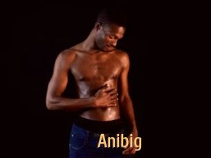 Anibig