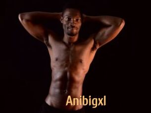 Anibigxl