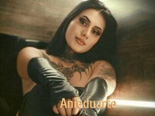 Anieduarte