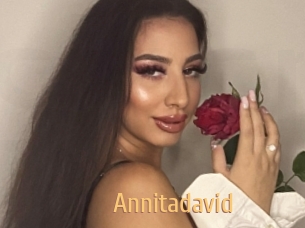 Annitadavid