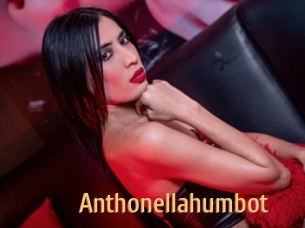 Anthonellahumbot