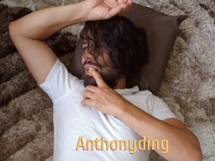 anthonyding Single Spass