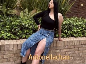 Antonellachan