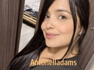 Antonelladams