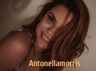 Antonellamorris