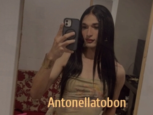 Antonellatobon