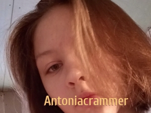 Antoniacrammer