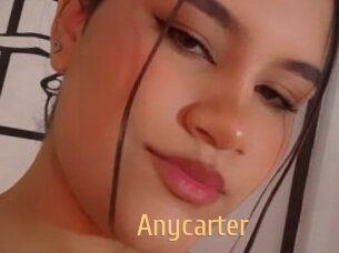 Anycarter