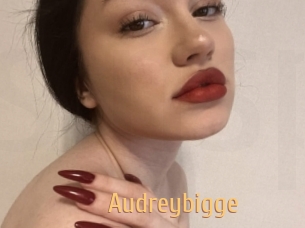 Audreybigge