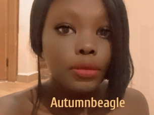 autumnbeagle Single Spass
