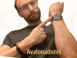 Avalonadonis