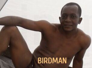 BIRDMAN Single Spass